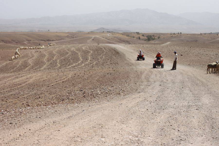 Camel Ride & Quad Bike Experience all'Agafay Rocky Desert
