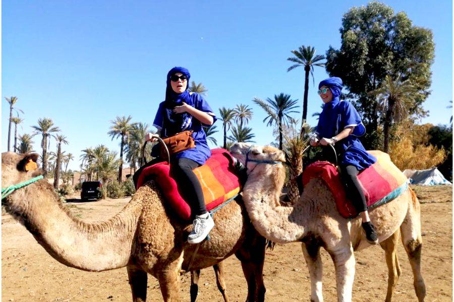 Esperienza in buggy, cammello e spa a Marrakech