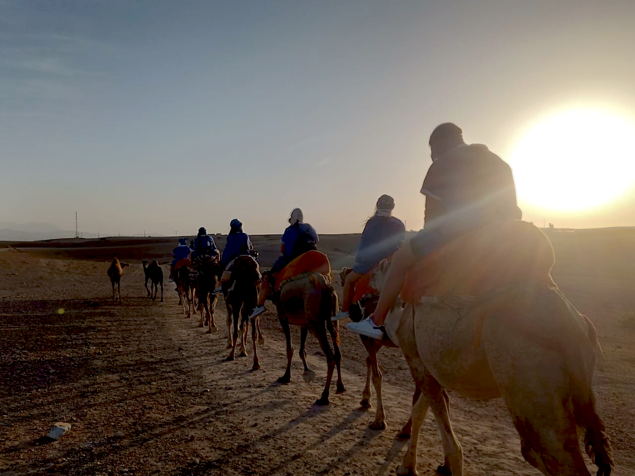 Camel Ride & Quad Bike Experience all'Agafay Rocky Desert