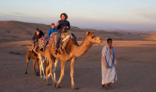 Esperienza di giro in cammello al tramonto nel deserto roccioso di Agafay