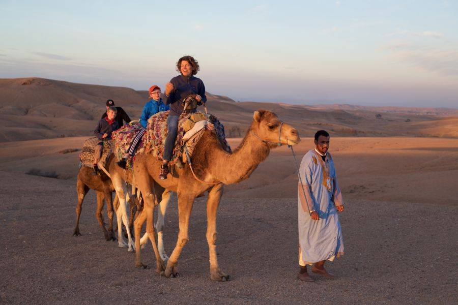 Camel Ride & Quad Bike Experience all'Agafay Rocky Desert