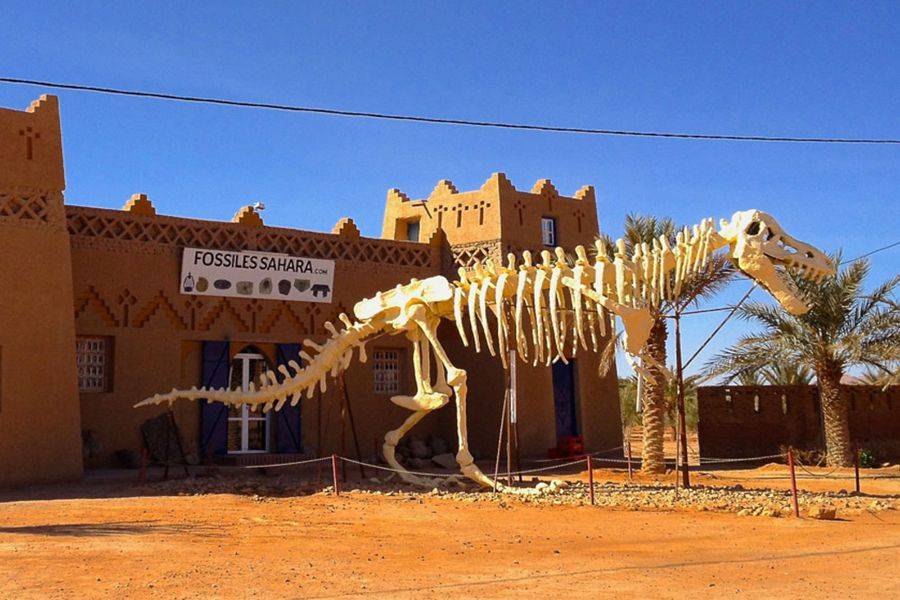 Merzouga: 3 giorni di viaggio nel deserto da Marrakech a Fez