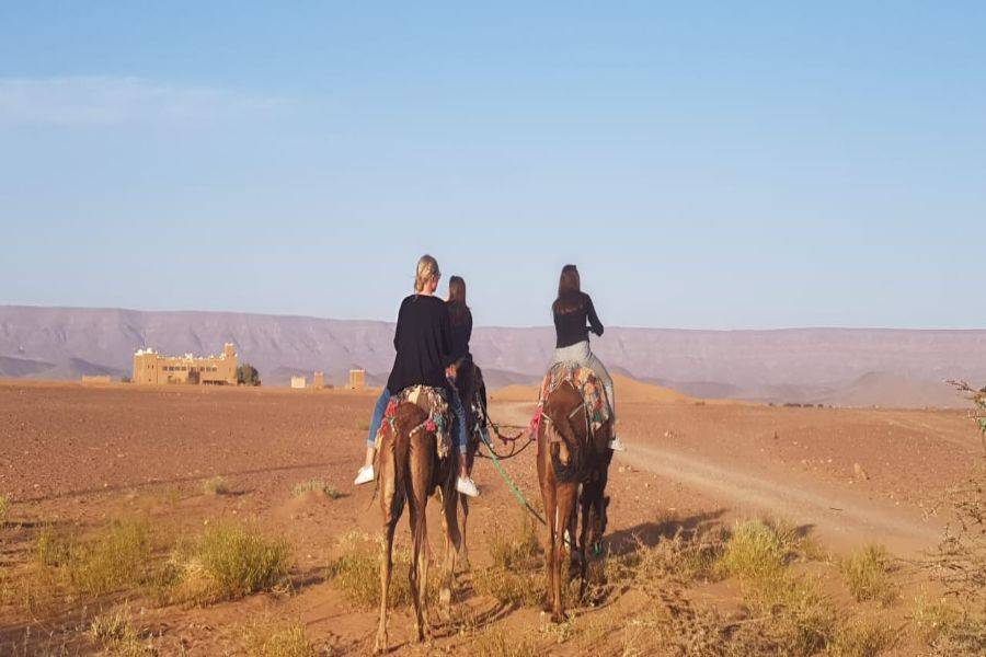 Camel Ride & Quad Bike Experience all'Agafay Rocky Desert