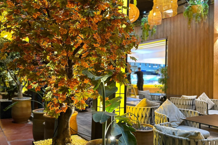 Esperienza romantica in spa con cena al ristorante Chouf L'Or