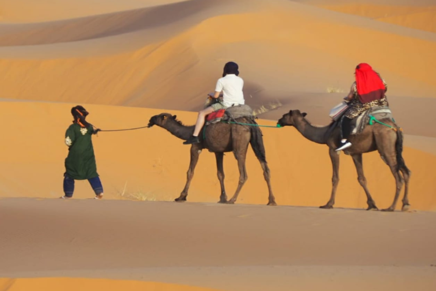Esperienza nel deserto di 3 giorni da Fes a Marrakech