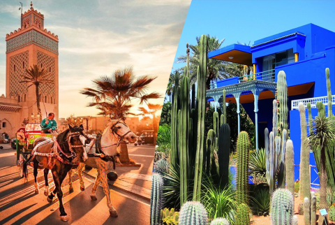 Un bellissimo tour con carrozza e visite al giardino Majorelle