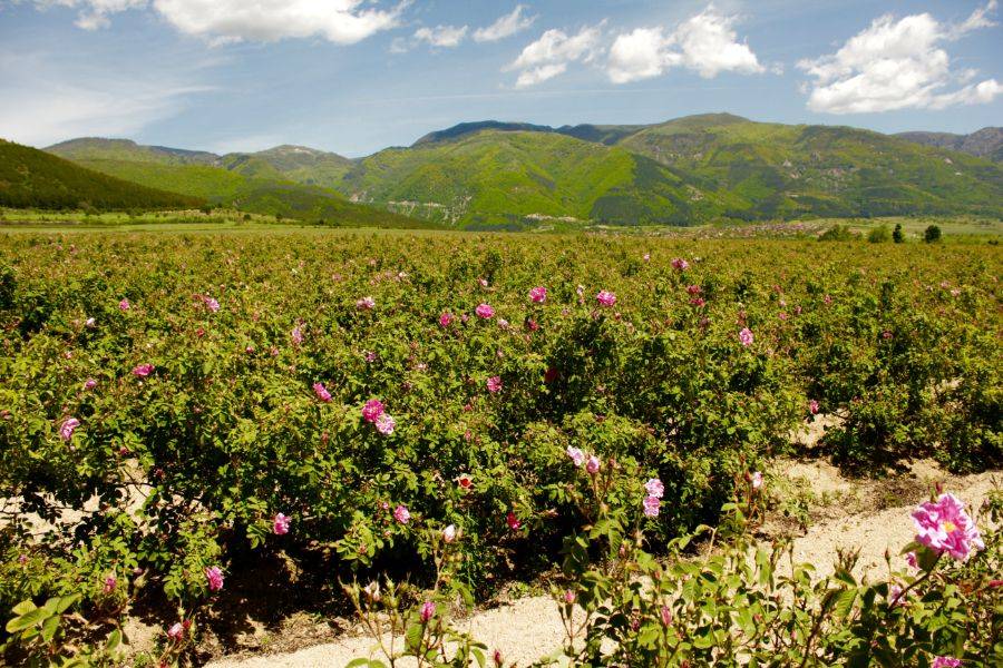 Tour del deserto di Fez 5 giorni a Marrakech