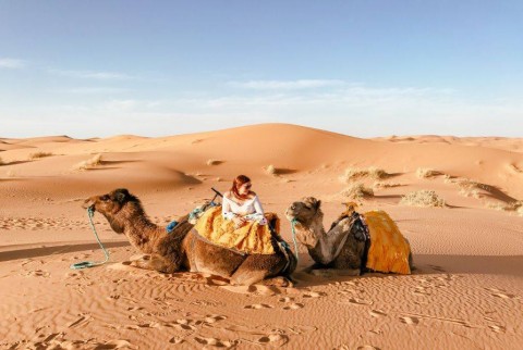 Fez: tour del deserto di 4 giorni a Marrakech