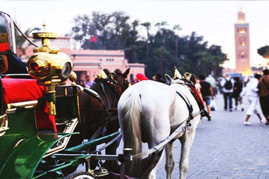 Bellissima carrozza a Marrakech