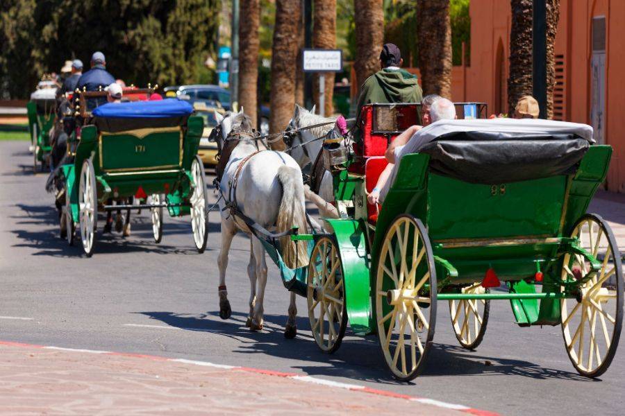 Bellissima carrozza a Marrakech