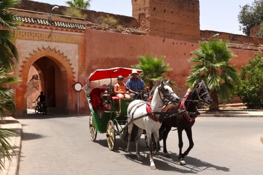 Bellissima carrozza a Marrakech