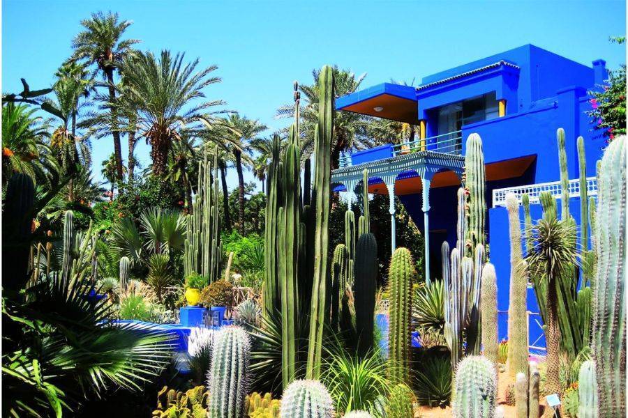 Gita giornaliera privata a Marrakech da Casablanca con pranzo