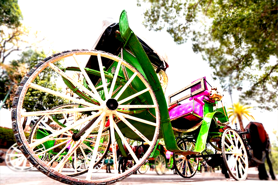 Bellissima carrozza a Marrakech