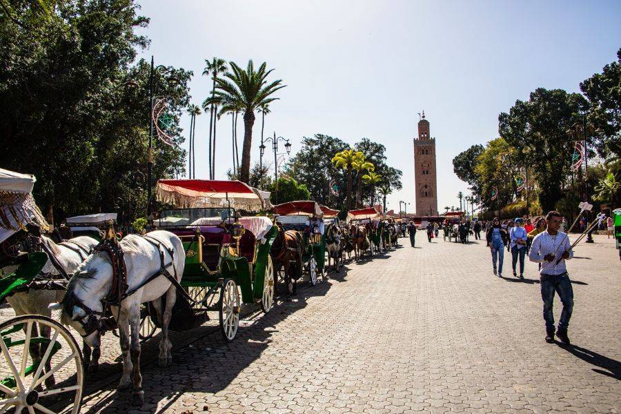 Bellissima carrozza a Marrakech