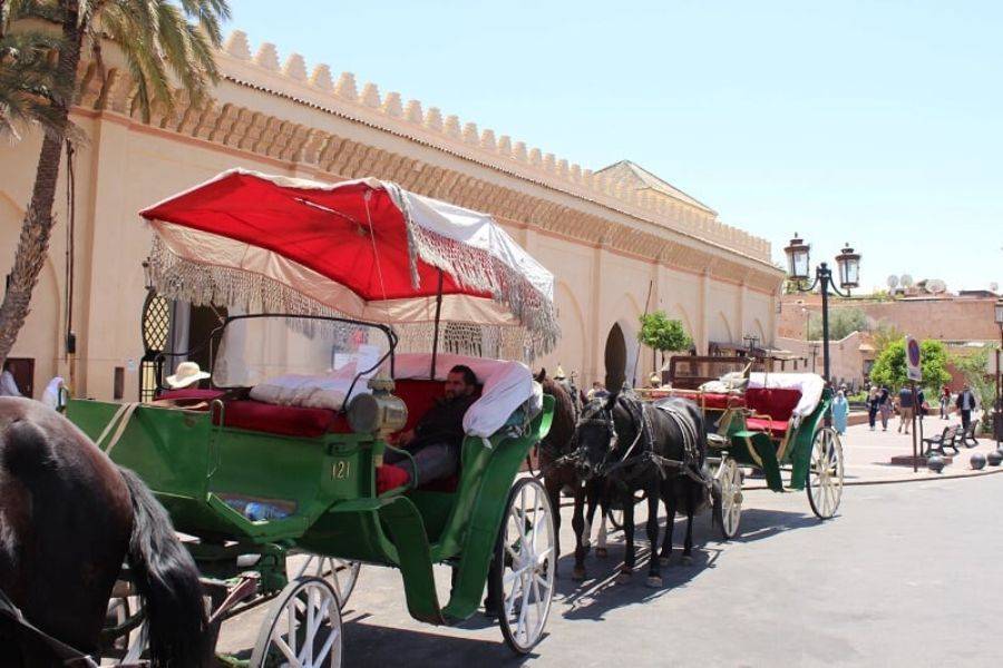 Bellissima carrozza a Marrakech