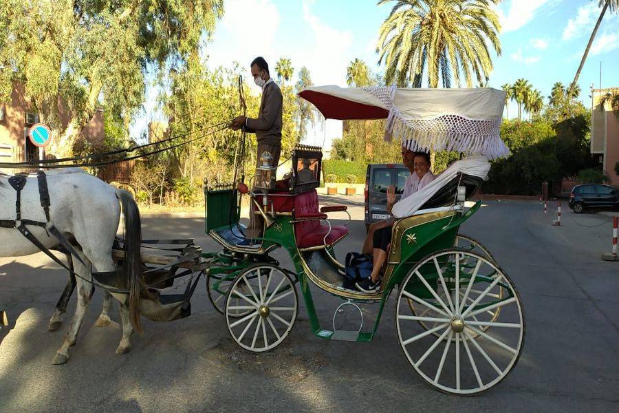 Bellissima carrozza a Marrakech
