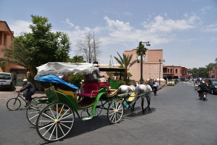 Bellissima carrozza a Marrakech