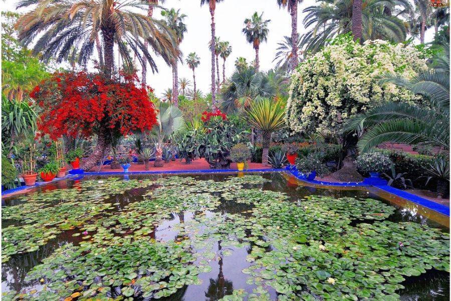 Gita giornaliera privata a Marrakech da Casablanca con pranzo