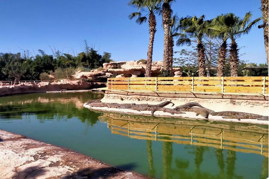 Gita di un giorno ad Agadir da Marrakech