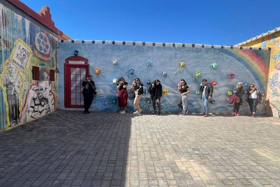 Escursione di un giorno da Ouarzazate e Kasbah Ait Ben Haddou 