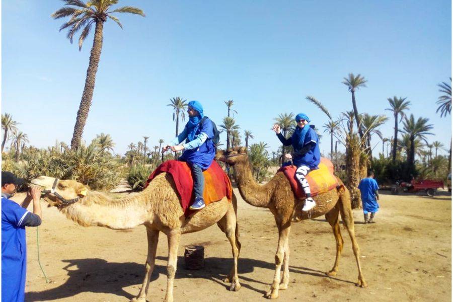Giro in cammello nella Palmeraie di Marrakech