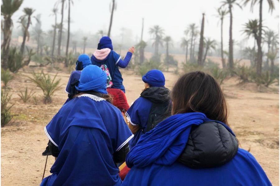 Giro in cammello nella Palmeraie di Marrakech