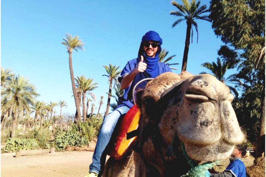 Giro in cammello nella Palmeraie di Marrakech