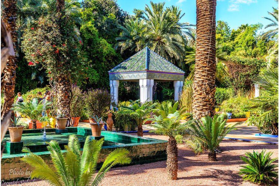 Giardino Majorelle con un giro in cammello tra le palme