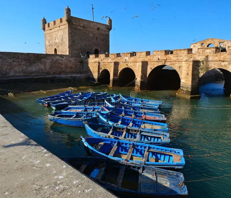 Escursione di un giorno a Essaouira da Marrakech