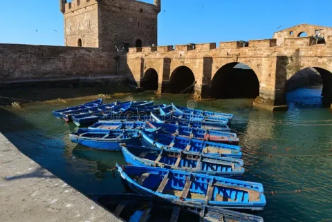 Escursione di un giorno a Essaouira da Marrakech