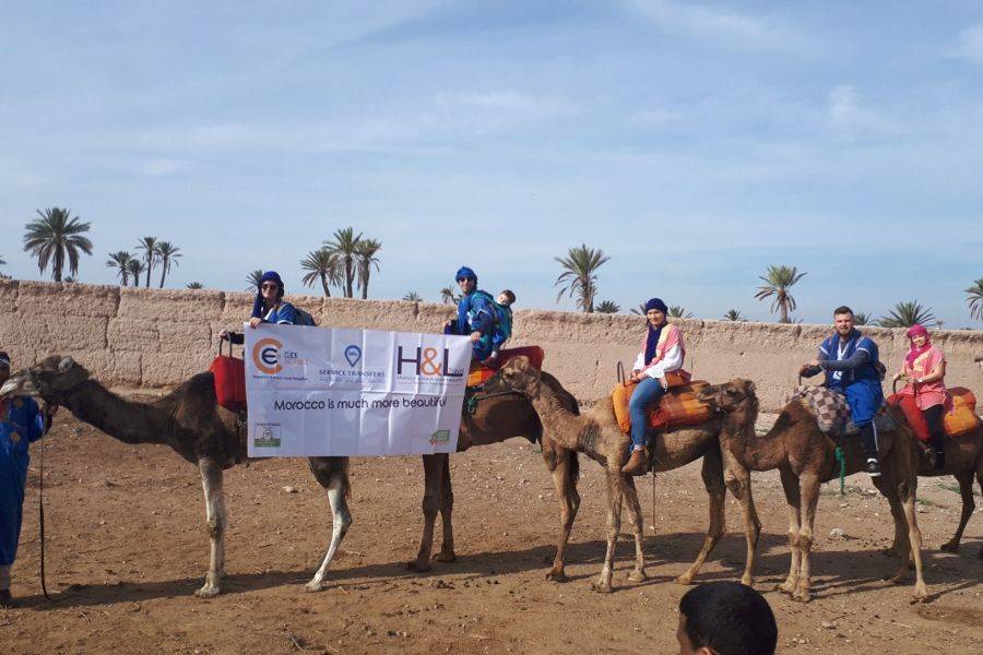 Giro in cammello nella Palmeraie di Marrakech