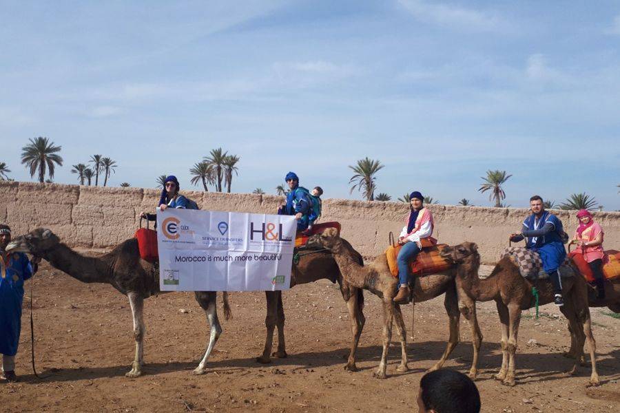 Giro in cammello nella Palmeraie di Marrakech