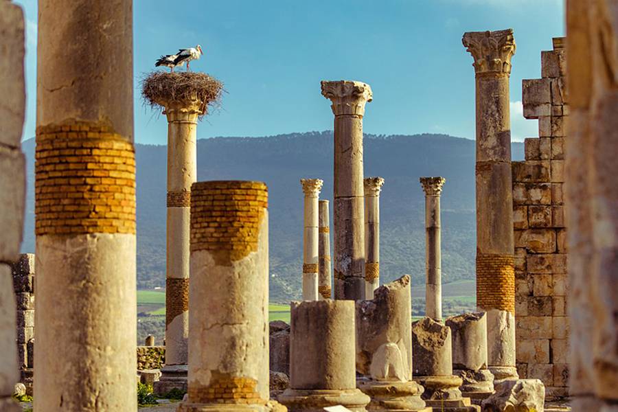 7 giorni di viaggio nelle città imperiali da Casablanca
