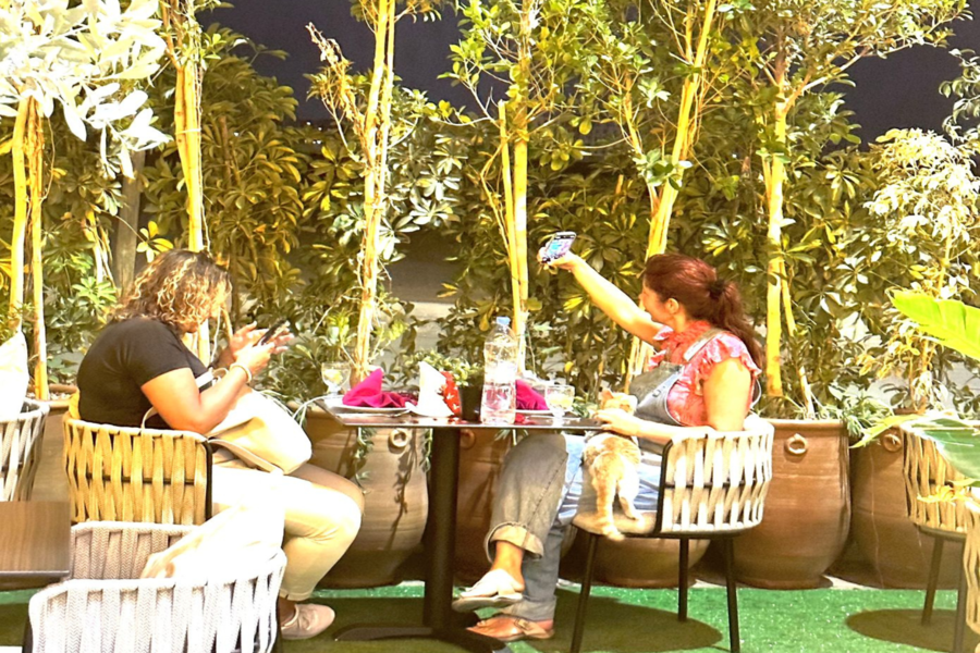 Esperienza di cena, ristorante marocchino Chouf L'Or con pick up