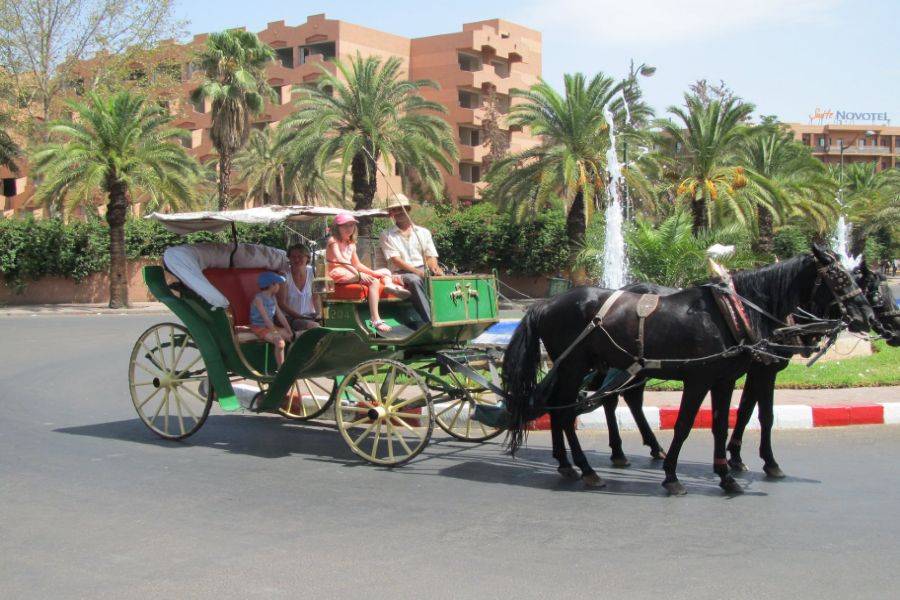 Tour di 2 giorni a Marrakech con mezza pensione e spa da Casablanca