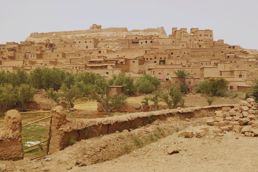 Escursione di un giorno da Ouarzazate e Kasbah Ait Ben Haddou 