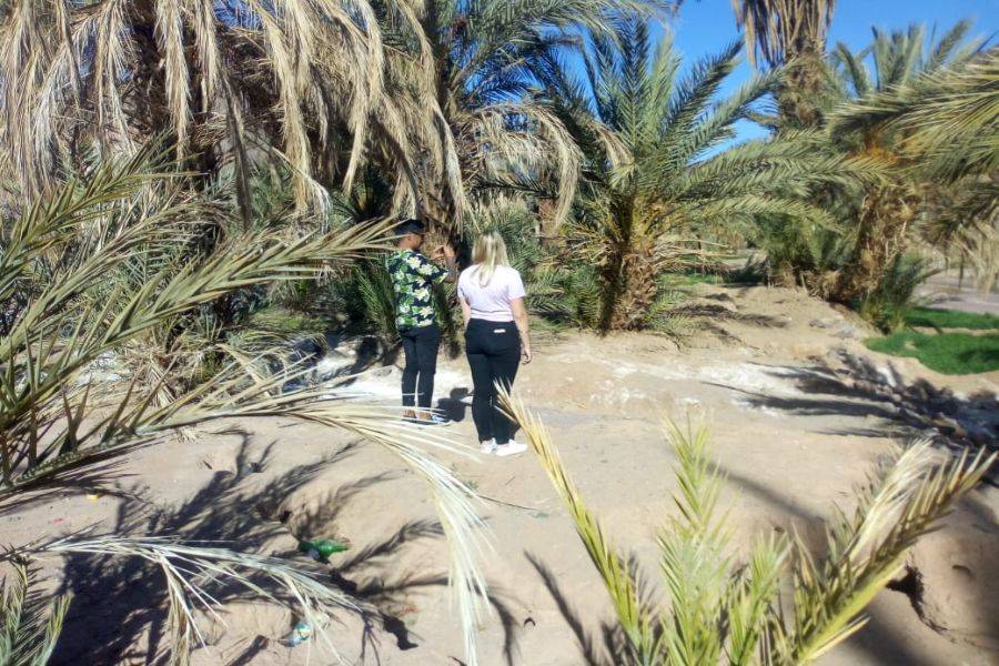 Tour di 2 giorni a Ouarzazate, Kasbah Ait ben haddou e Oasis Fint
