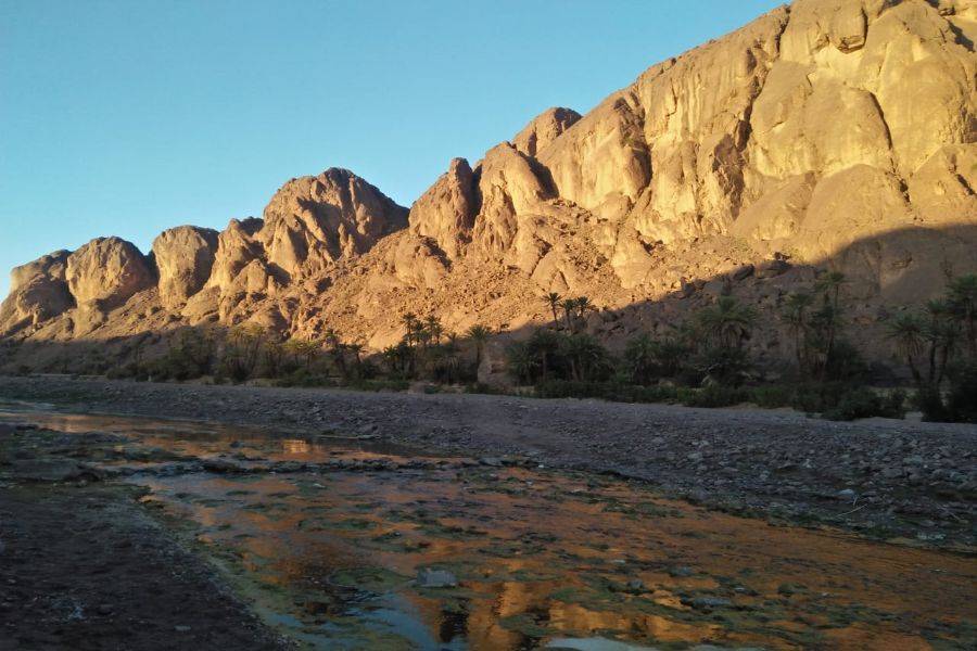Tour di 2 giorni a Ouarzazate, Kasbah Ait ben haddou e Oasis Fint