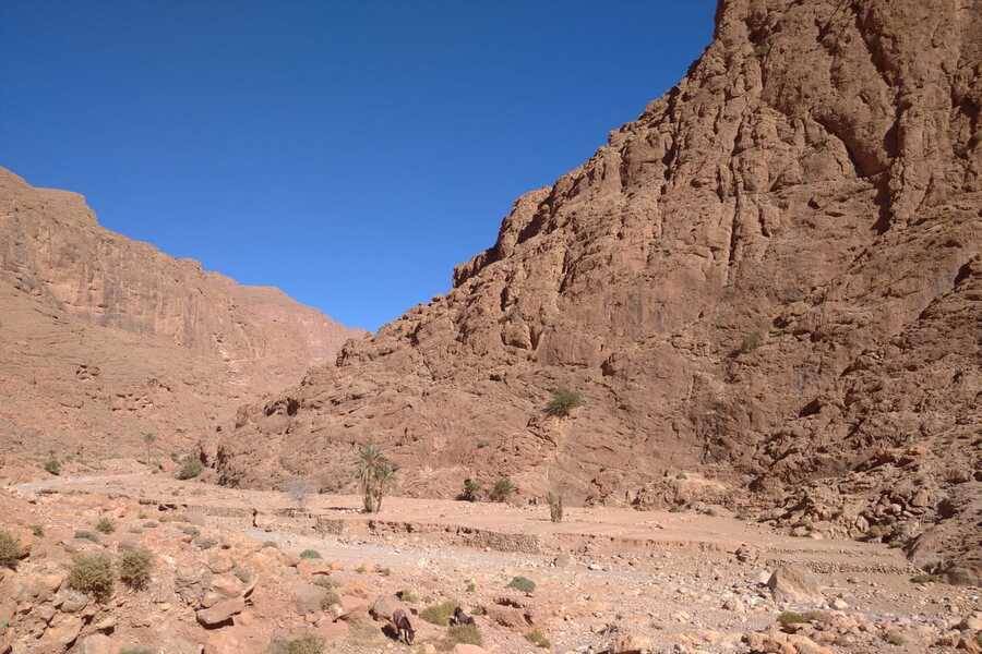 Escursione nel deserto di Merzouga 4 giorni al giorno d'Agadir