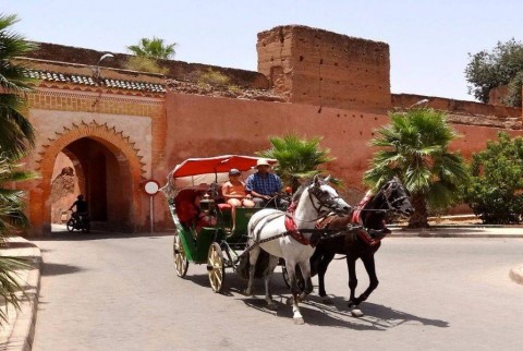Bellissima carrozza a Marrakech