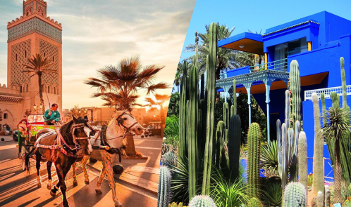 Un bellissimo tour con carrozza e visite al giardino Majorelle