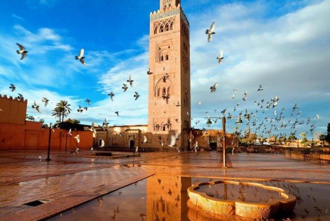 Tour dei giardini storici e dei bastioni di Marrakech