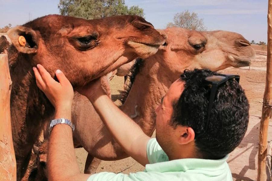 Desert Trip In Morocco (4 giorni)