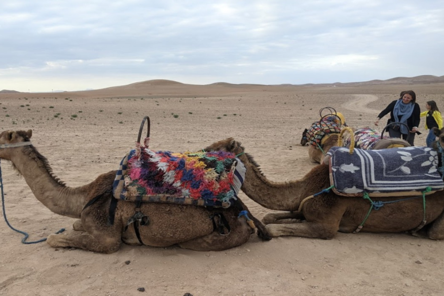 Cena al tramonto nel deserto di Agafay