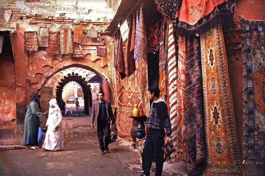 Tour privato di mezza giornata della guida locale di Marrakech