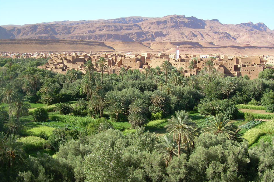 Tour di 2 giorni a Ouarzazate, Kasbah Ait ben haddou e Oasis Fint