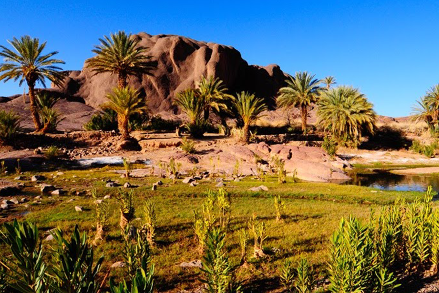 Tour di 2 giorni a Ouarzazate, Kasbah Ait ben haddou e Oasis Fint