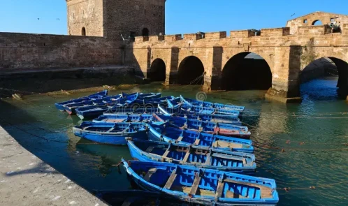 Escursione di un giorno a Essaouira da Marrakech