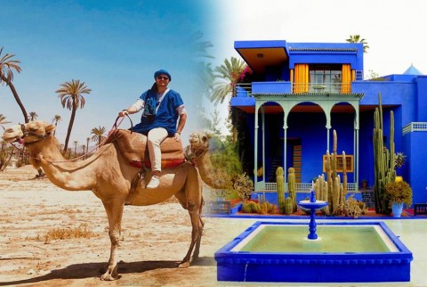 Giardino Majorelle con un giro in cammello tra le palme