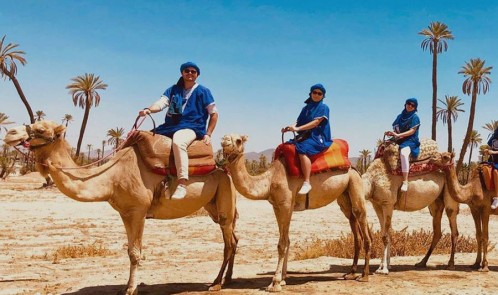 Giro in cammello nella Palmeraie di Marrakech